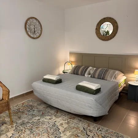 فيلة Avocadohome