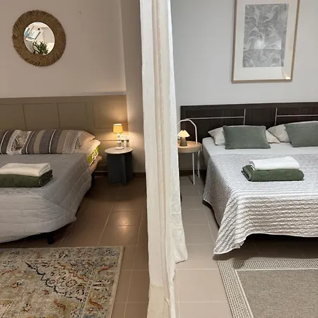 فيلة Avocadohome *