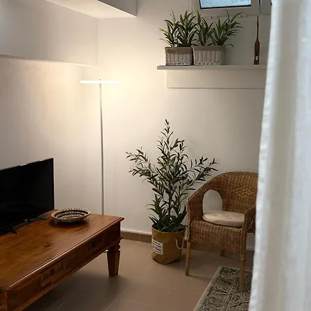 فيلة Avocadohome *