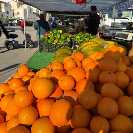 Avocadohome فيلة *