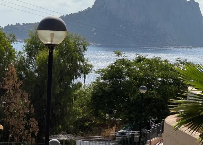 Avocadohome * 卡尔佩